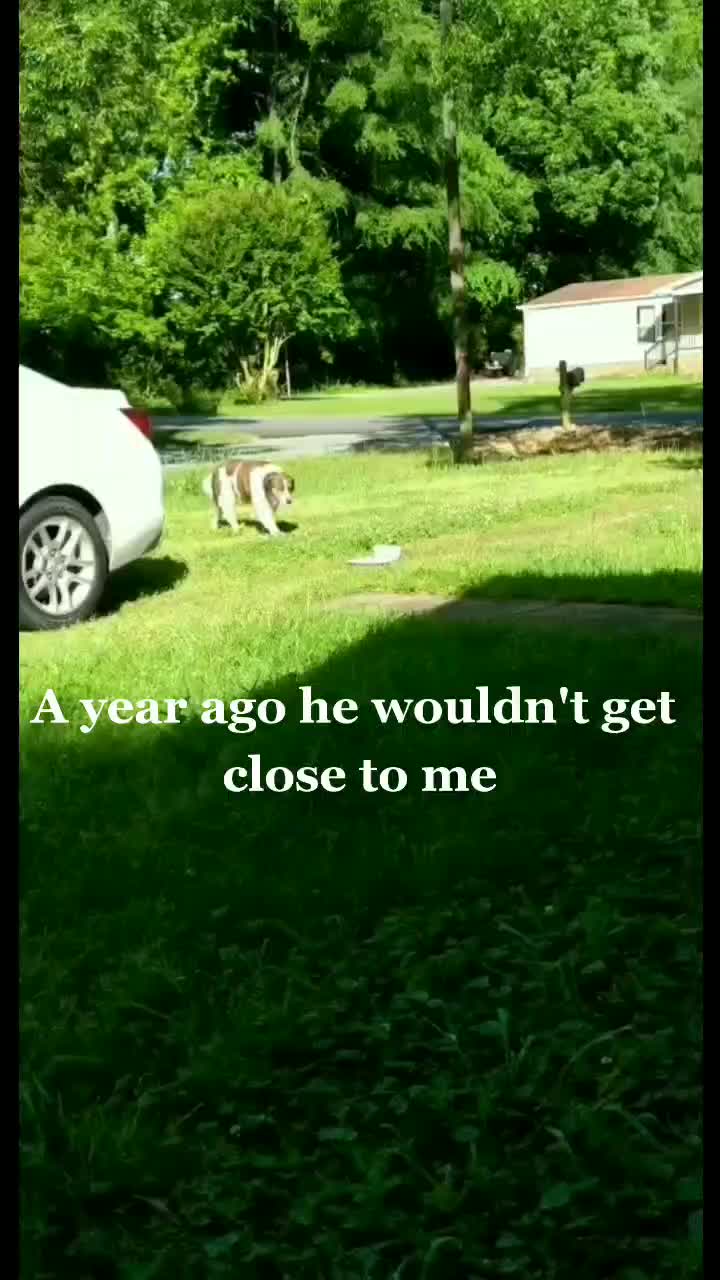 @LifeofLou.ie