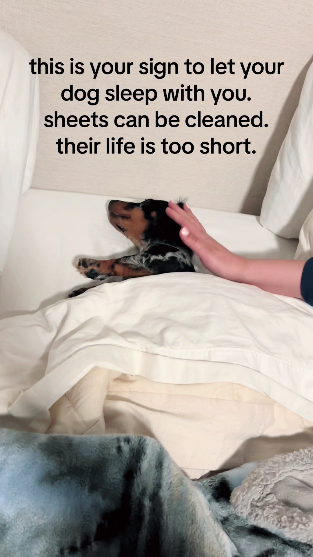@dennisxrussell