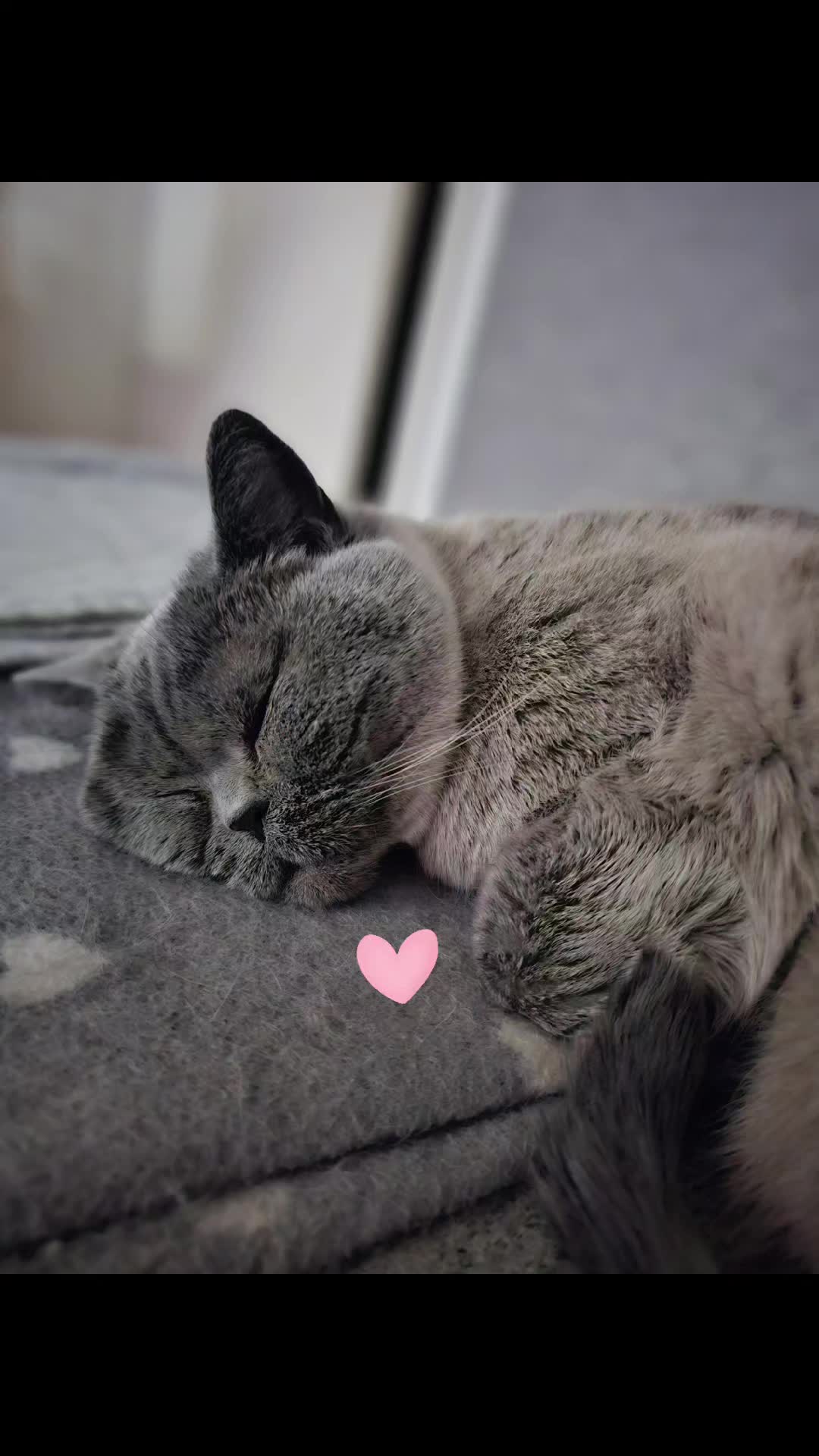 @qqaawww3