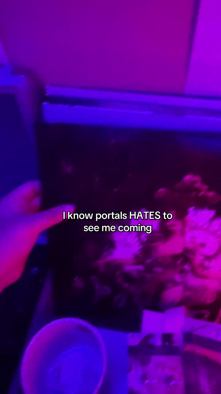@𝒶𝓁𝑜 ⋆˚꩜。