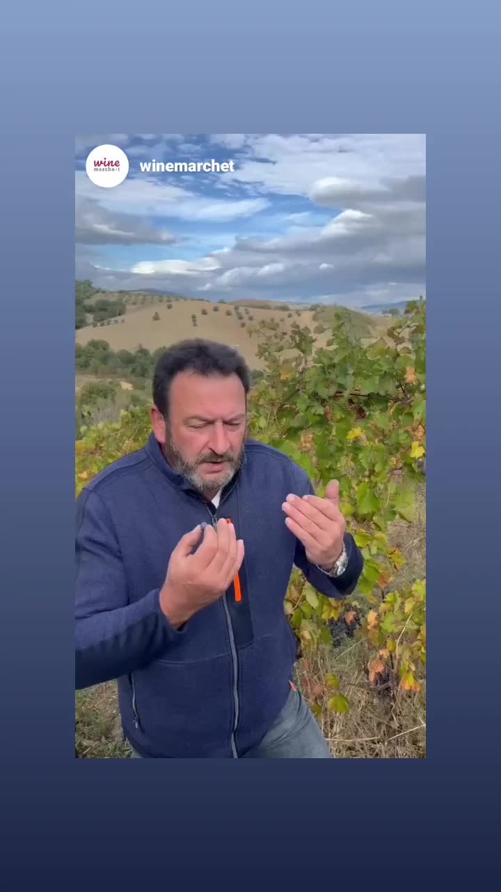 @Dante Duri