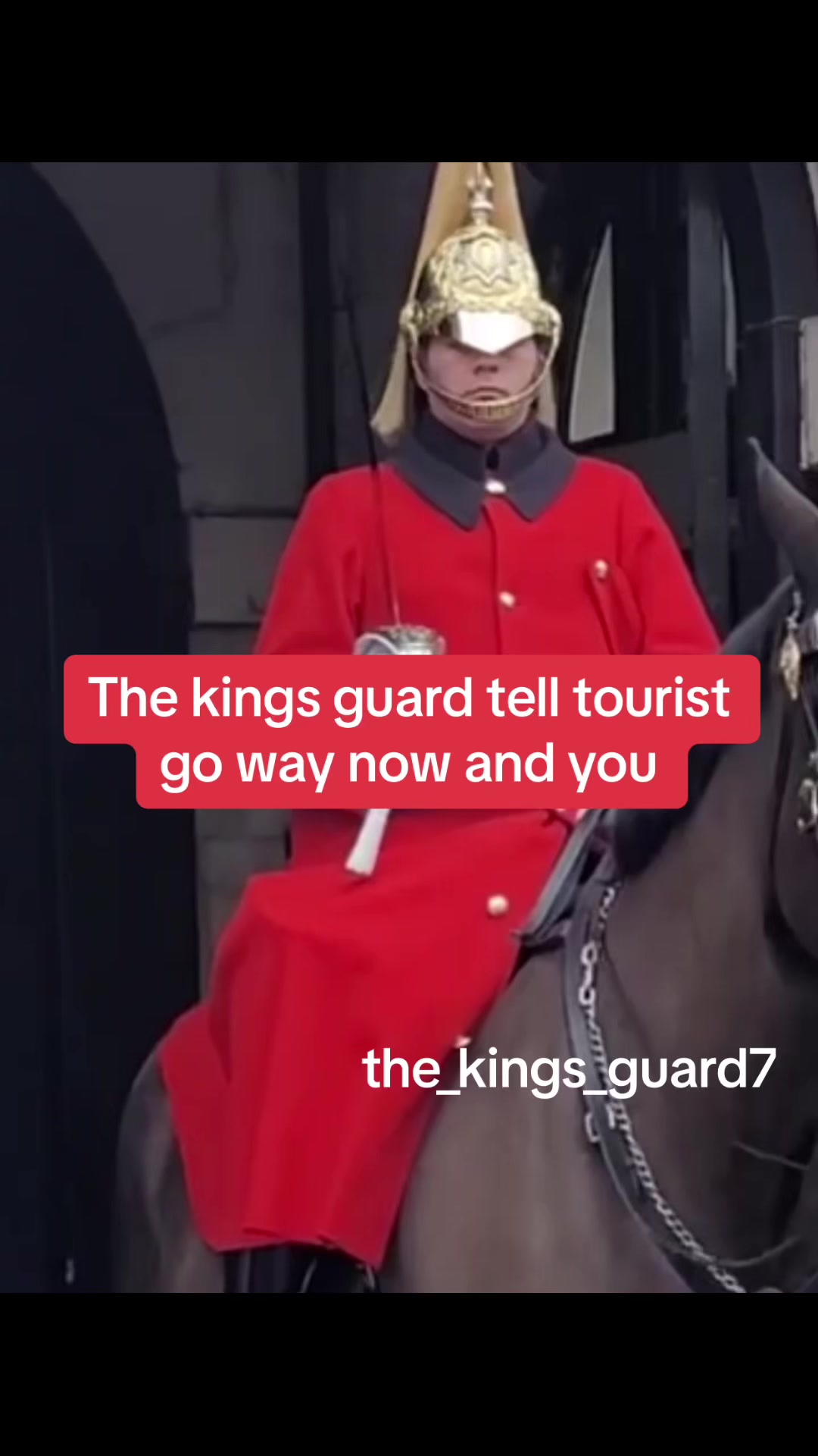 @The_Kings_Guard7