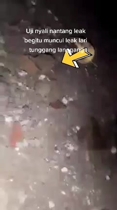 @TRIDATU HOROR