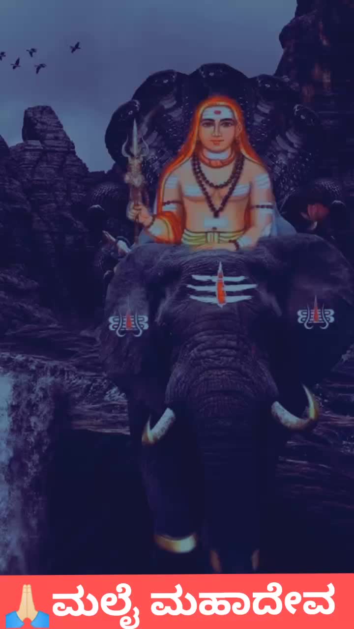 @🌺👬ಬಂಜಾರ ಹುಲಿ 👬