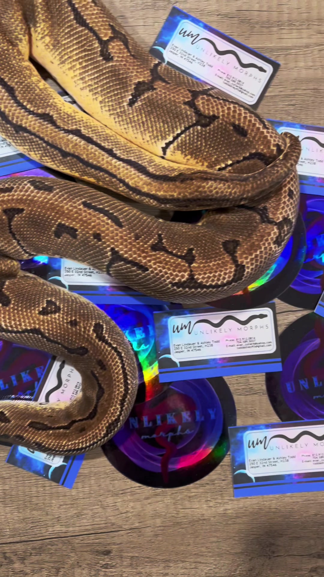 @unlikelymorphs
