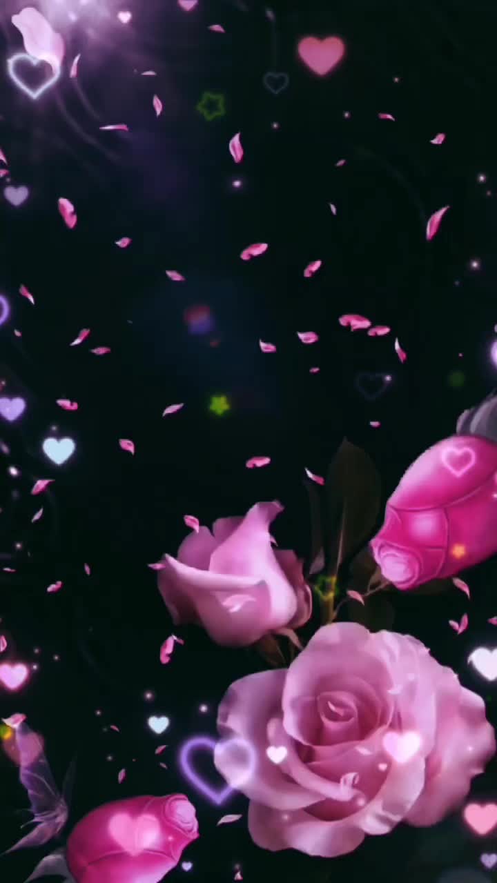 @التوليب🌷