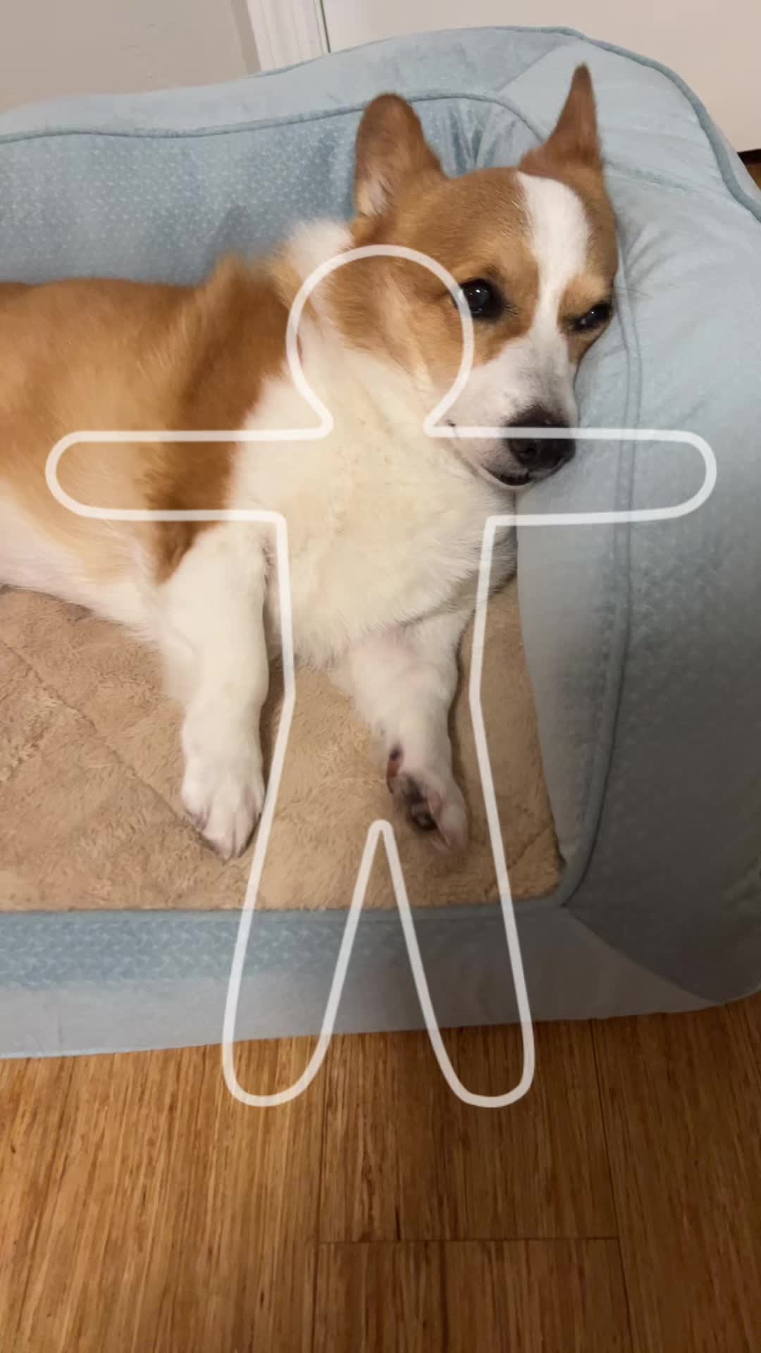 @Lynn Lê