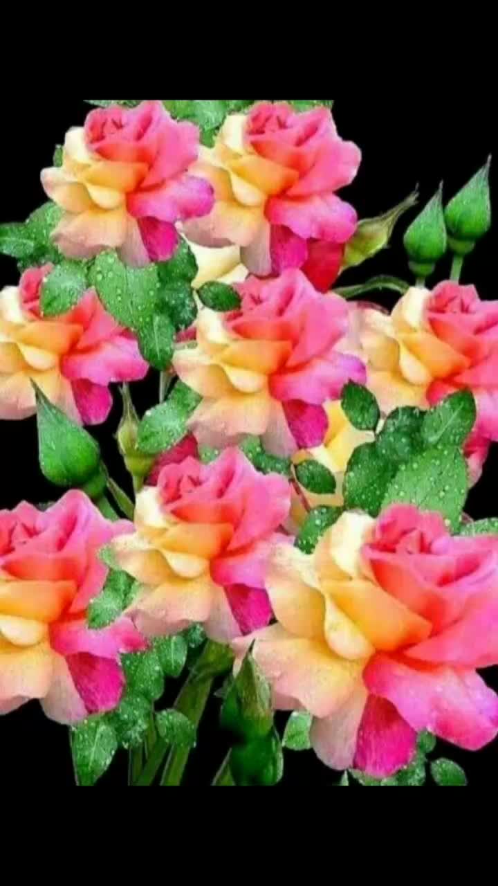 @Mrs.Veera❤Priya❤❤❤