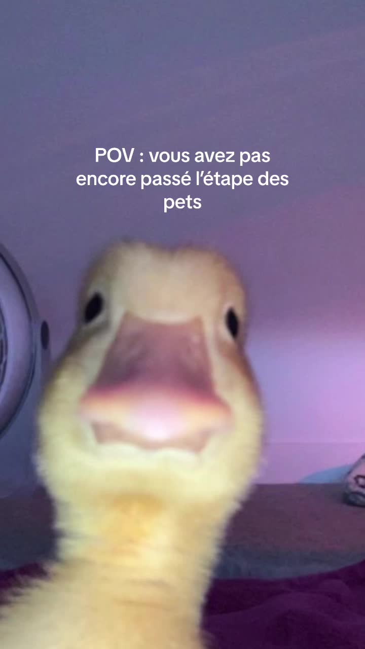 @Audalys