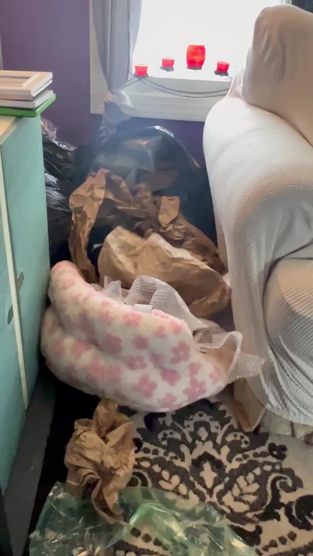 @HopesDreamRescue