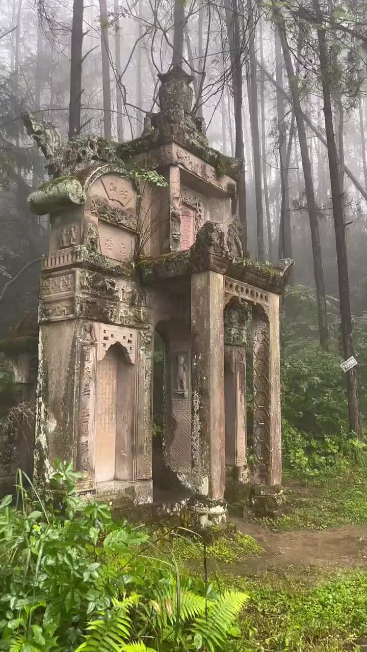 @逸明荒野探墓