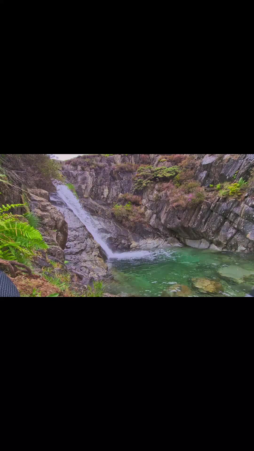 @user9009065585196