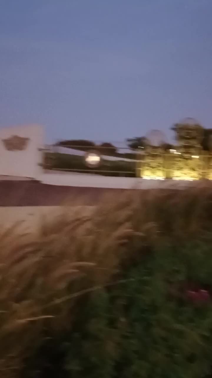 @Malik_Afaaq