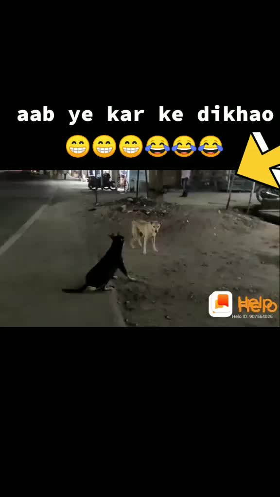 @Majidkhan