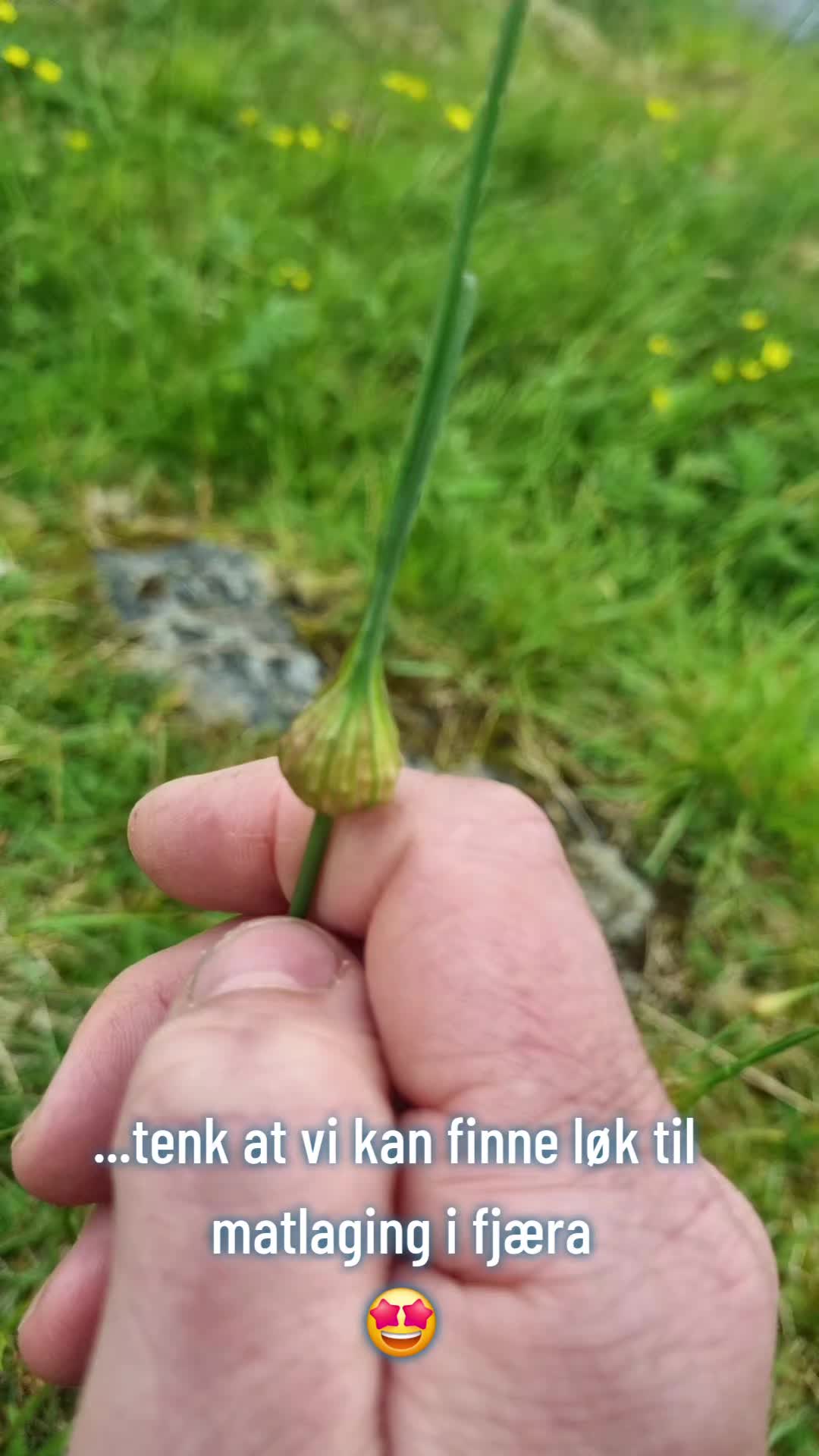 @Kristin Fjellsøy