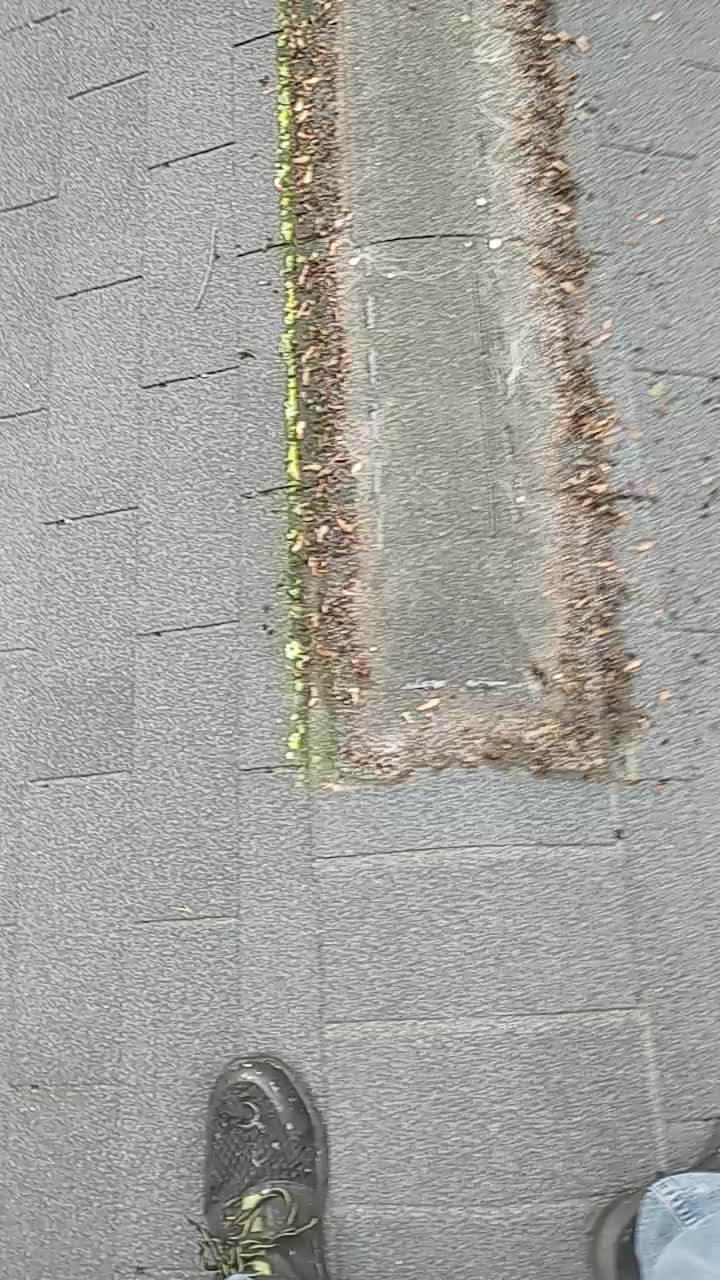@SOMEDUMBGUYINMICHIGAN