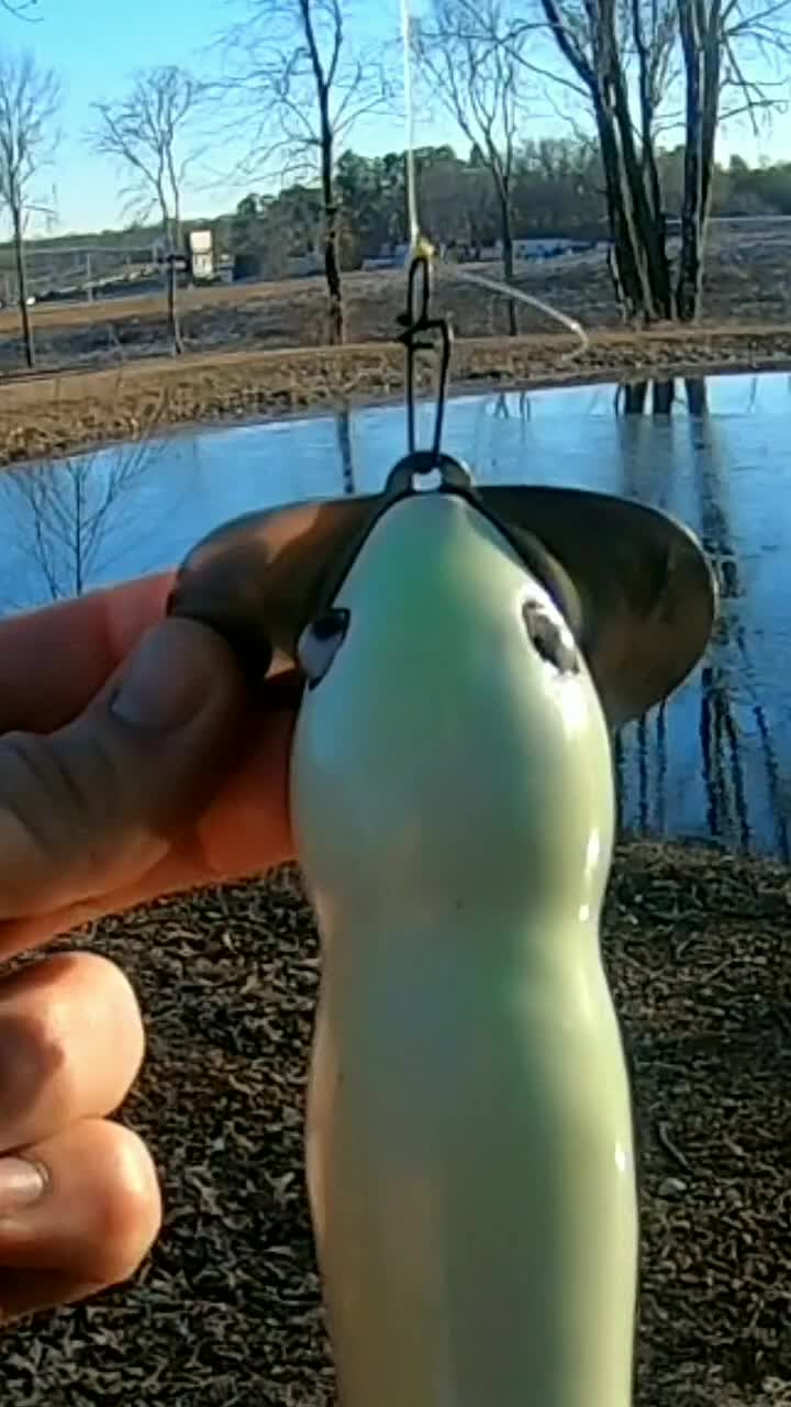 @Narrow Gate Baits