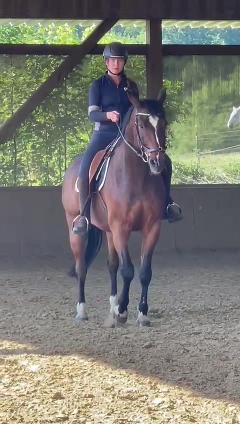 @reiten_ist_kunst