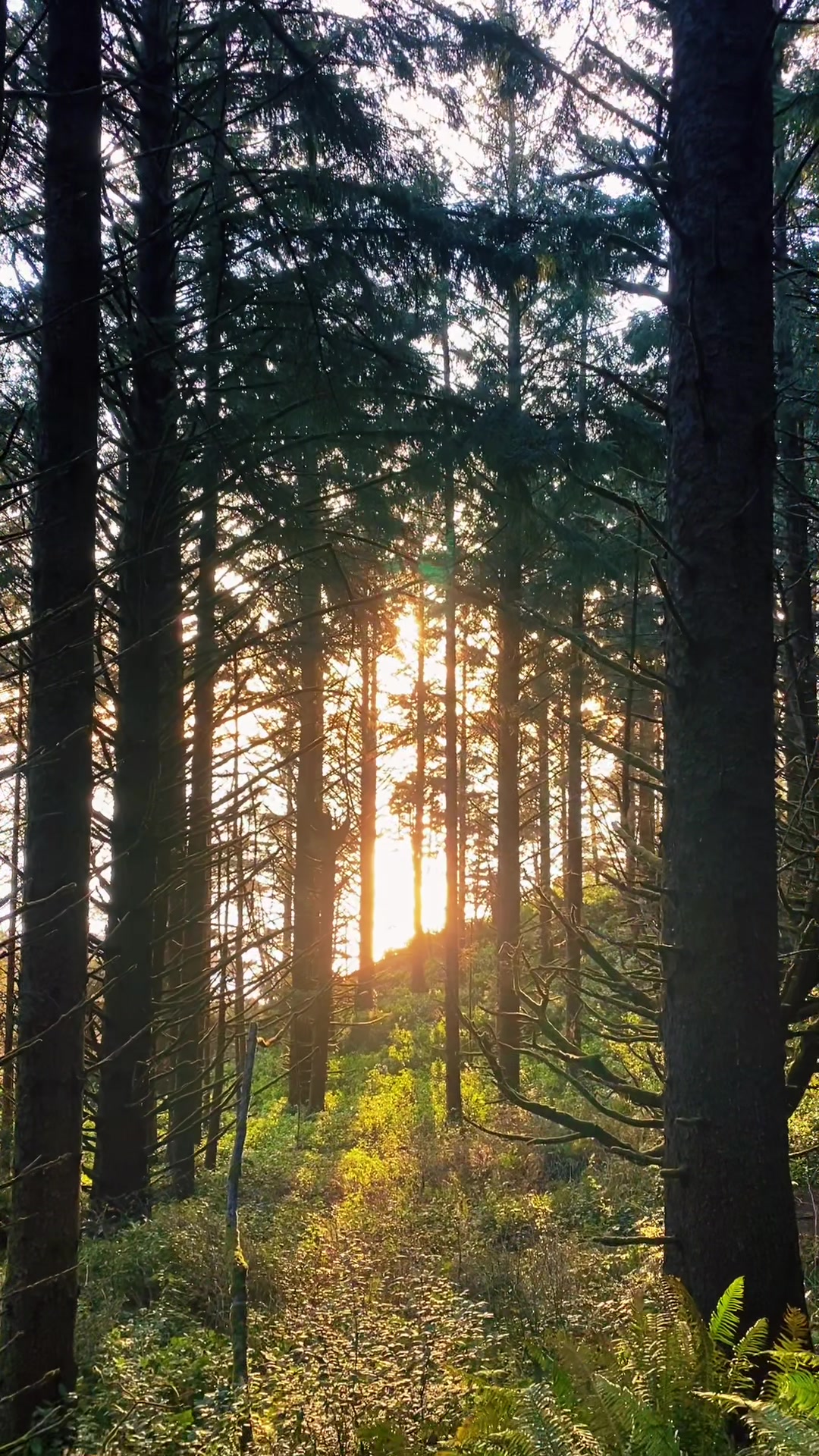 @ADVENTURE_LIFE