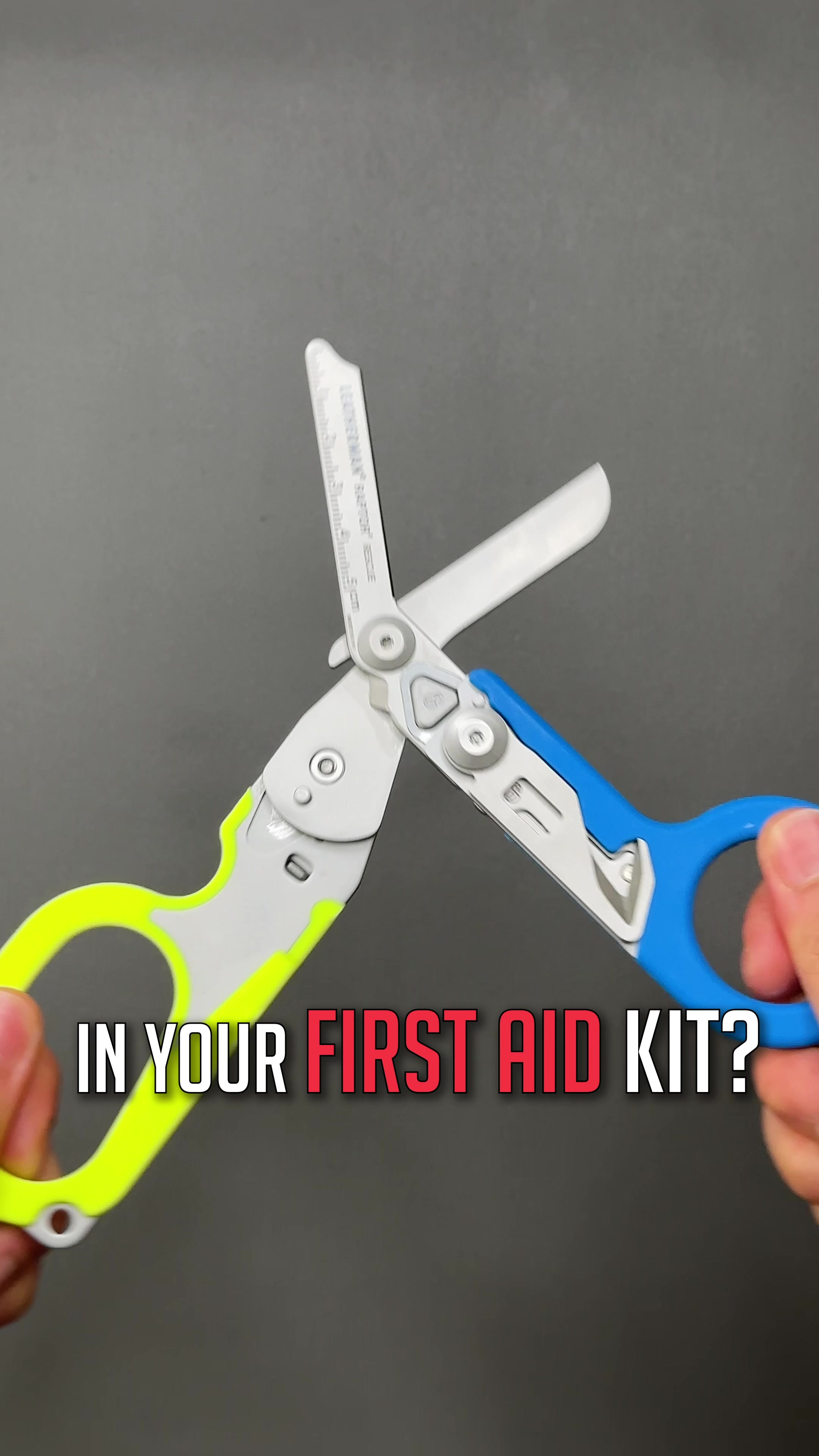 @Bernard! [Everyday Carry]