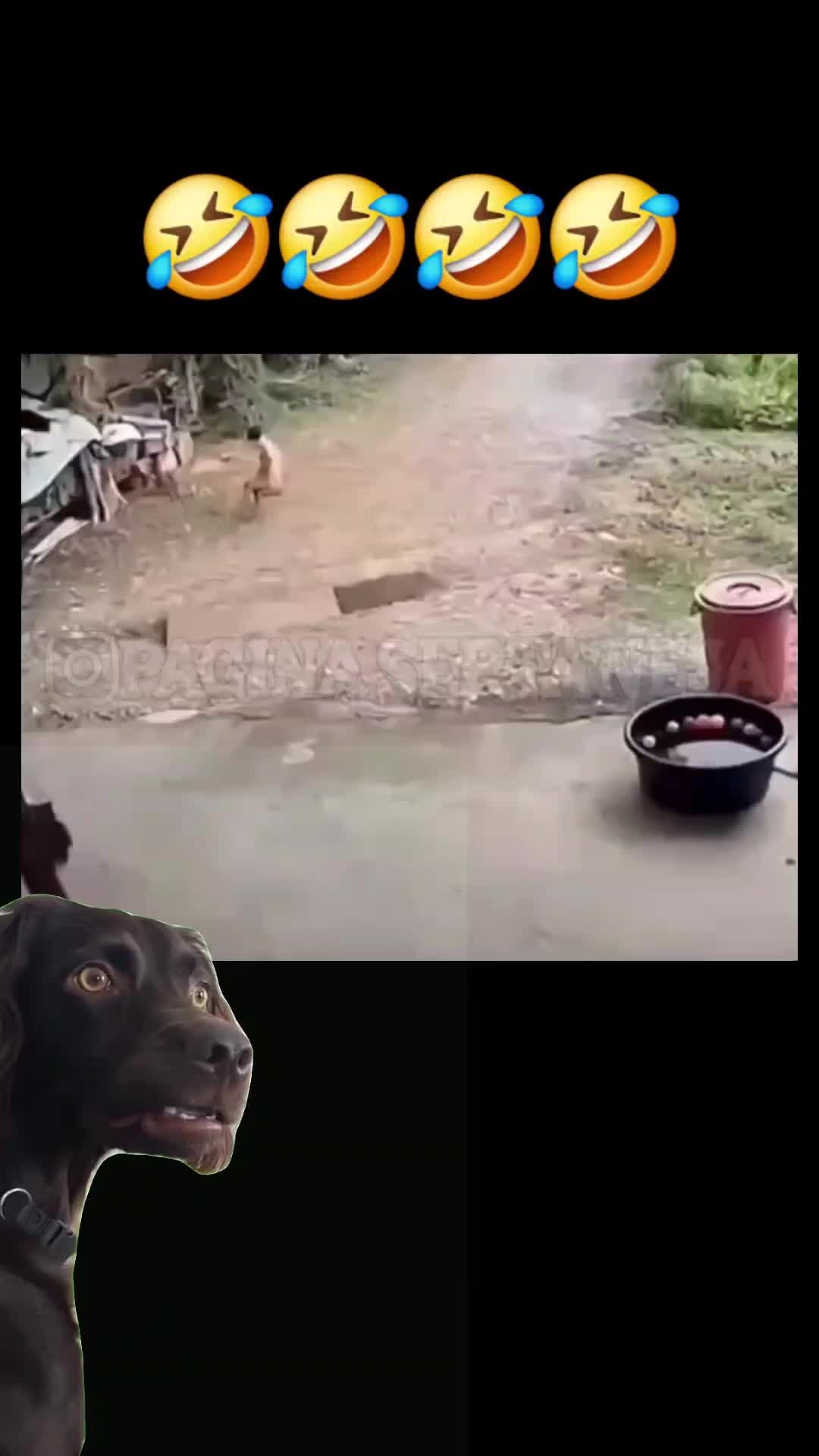 @Chillszone🤣