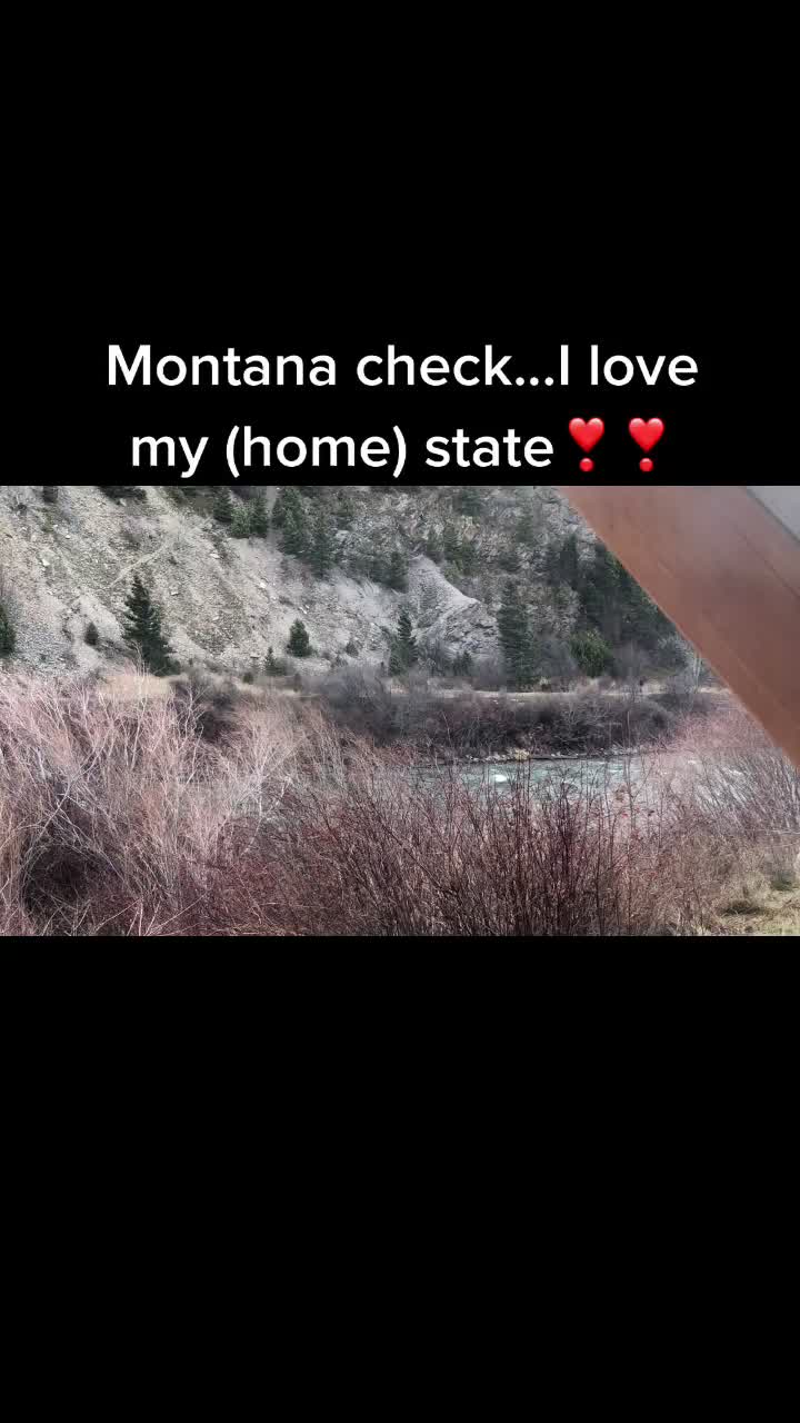 @Donna Kalantar