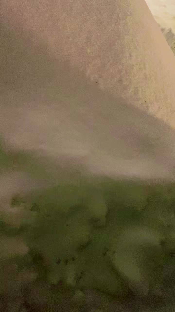 @🇲🇽L&oacute;pez L&oacute;pez🇲🇽