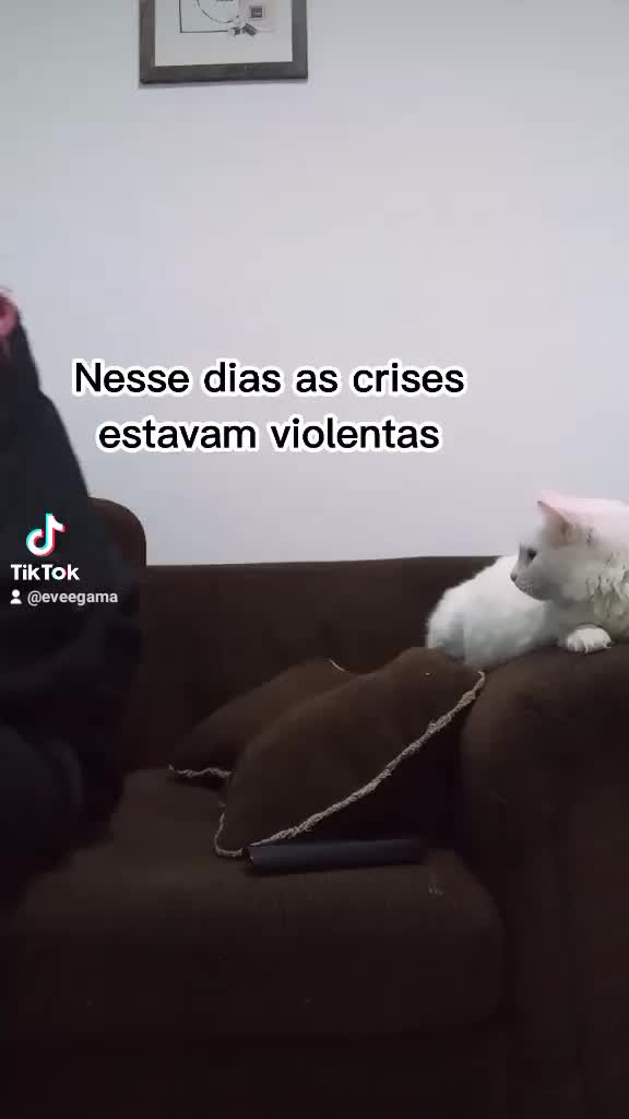 @EveeGama
