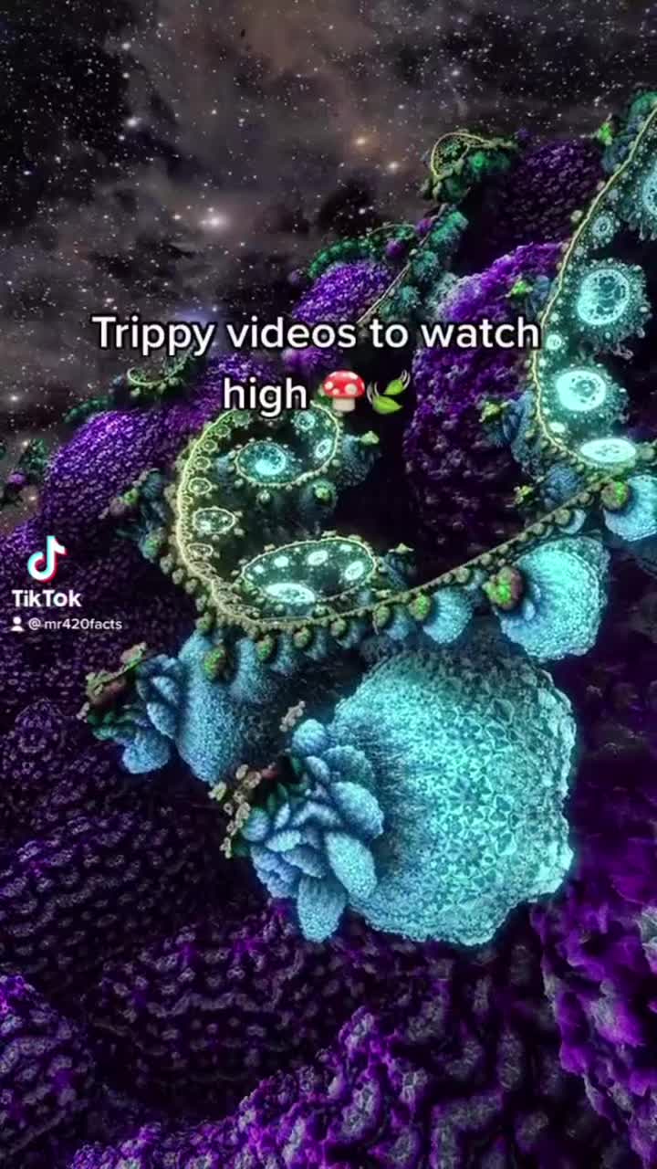 @StonerWRLD