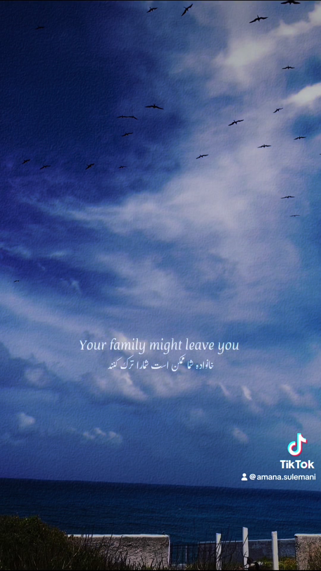 @Amana S. Habib