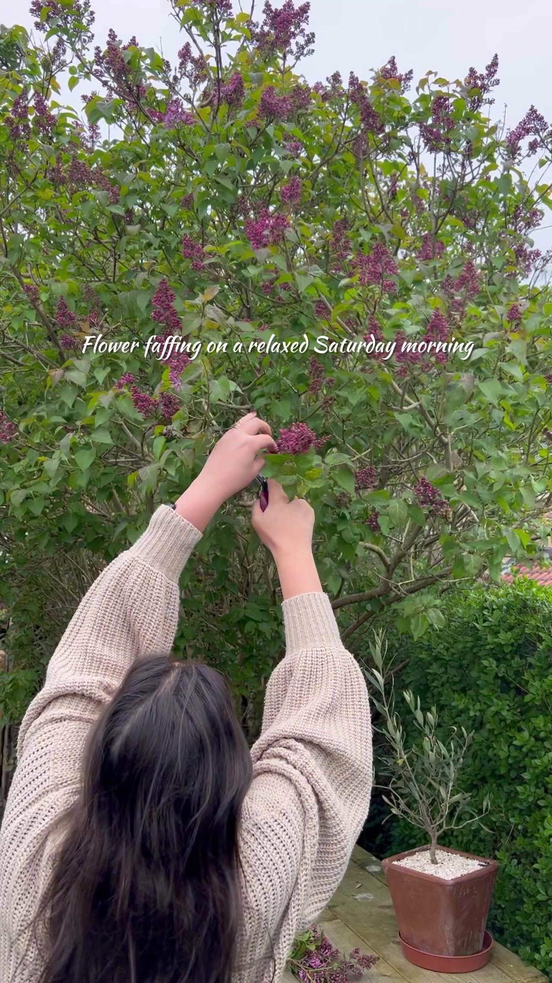 @Diary of a Yorkshire Gardener
