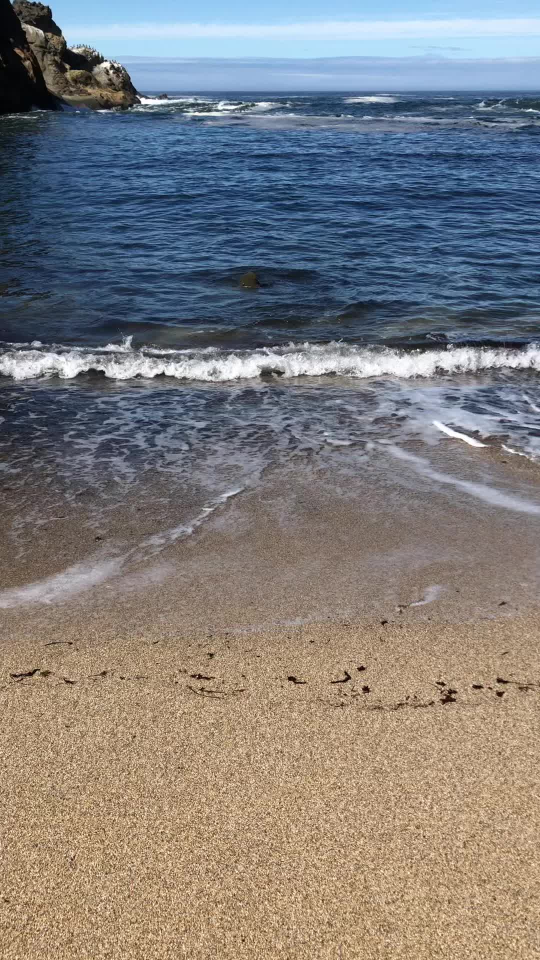 @Maymeissocool