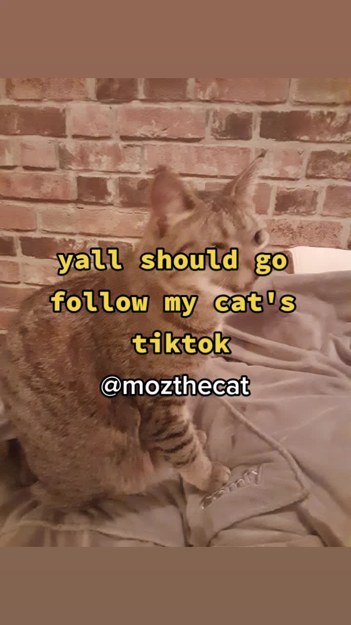 @AWOOGA