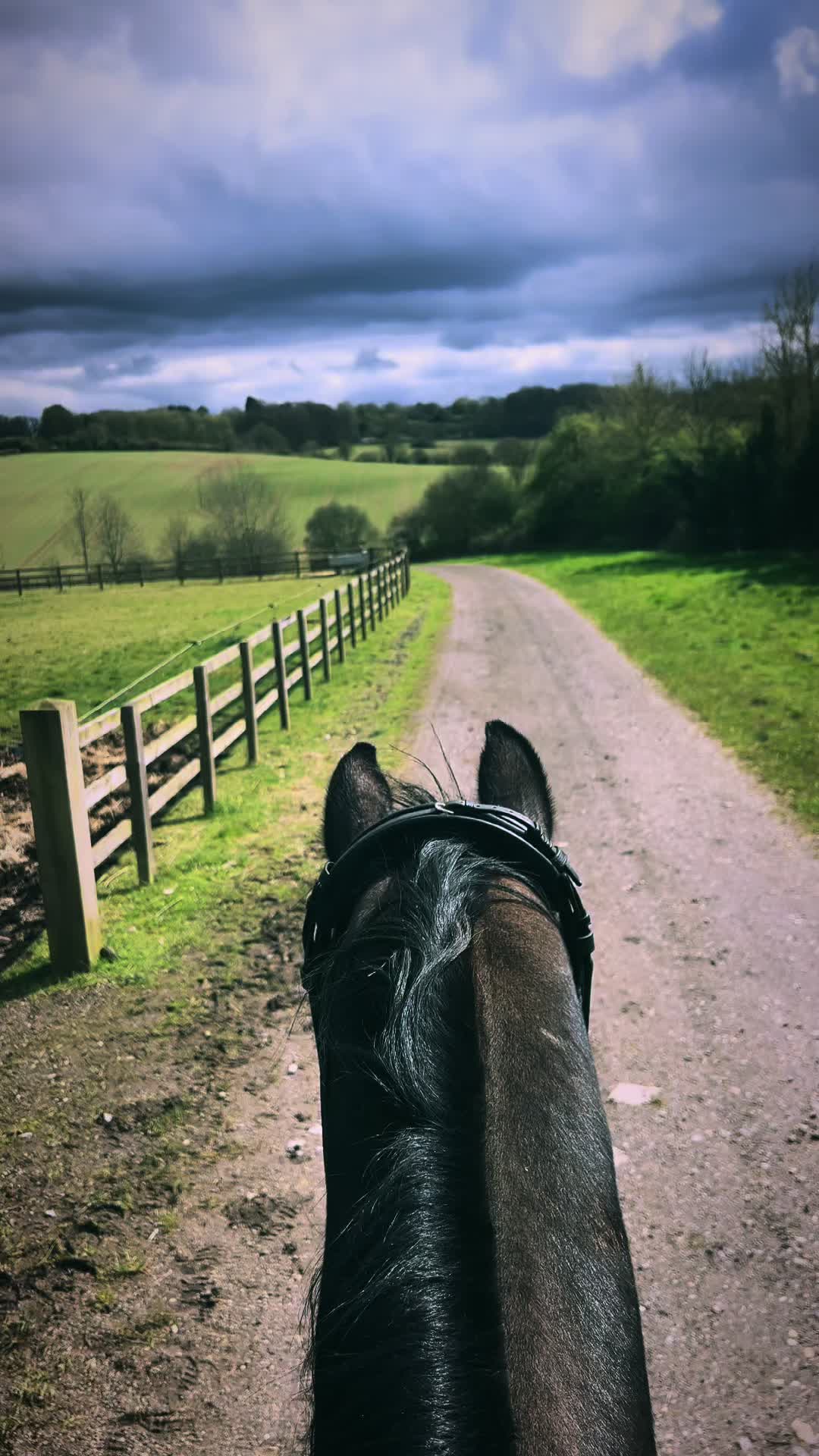 @A_G_Dressage