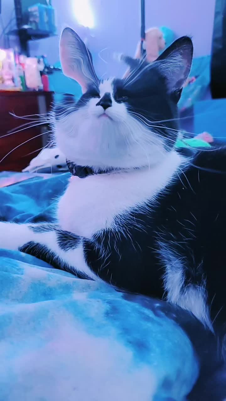 @BlissyThe3nigma