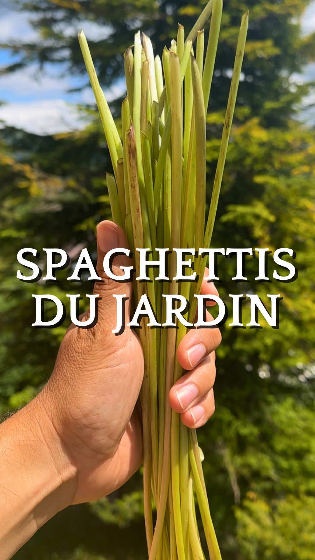 @Retour à la Terre