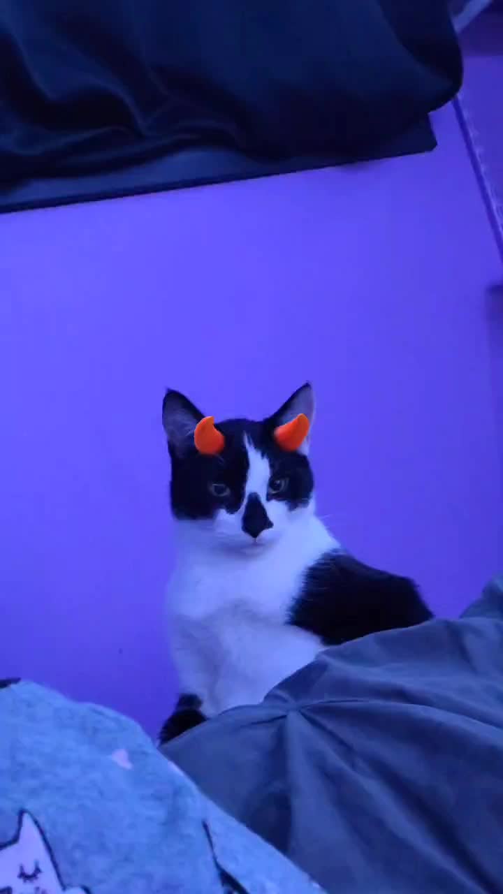 @BlissyThe3nigma