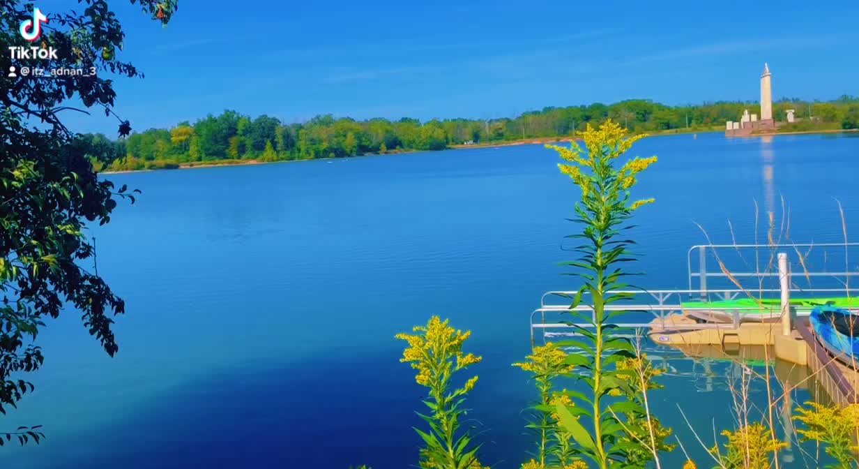 @Shafi3568