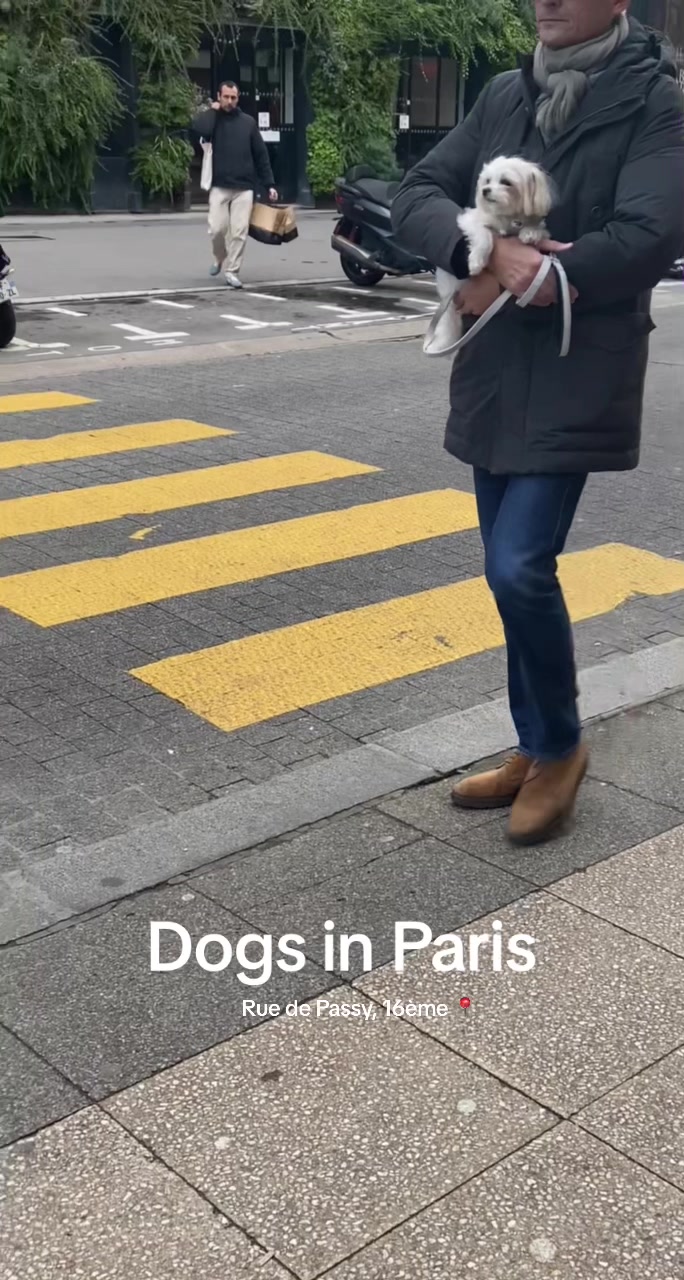 @dogs in Paris 🐶
