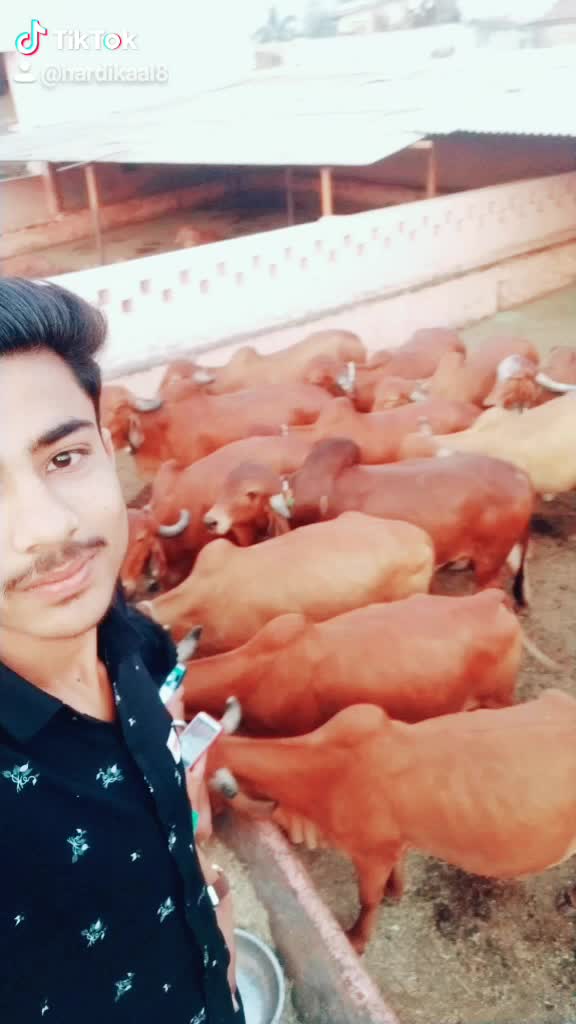 @Hardik Aal