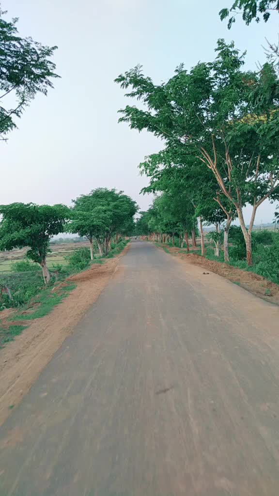 @Kumar Shibu 💞💞
