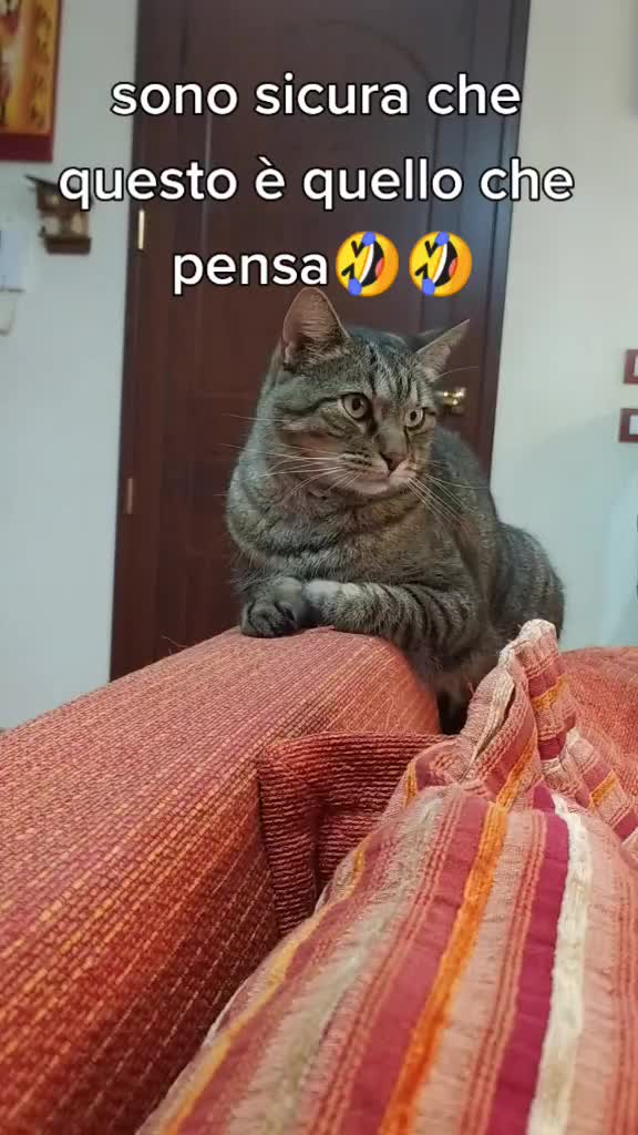 @Daniela Semilia