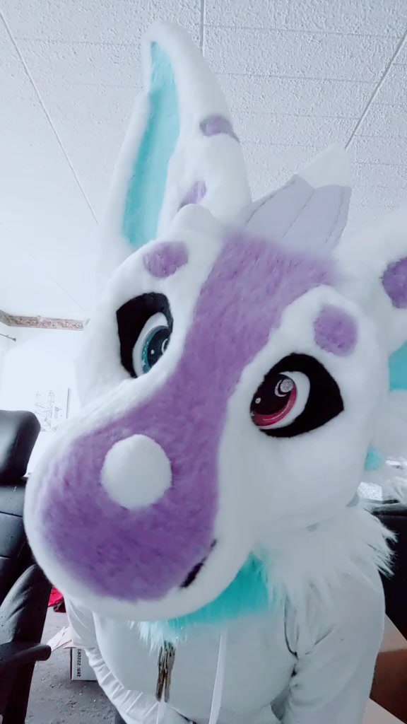 @CookieShiba