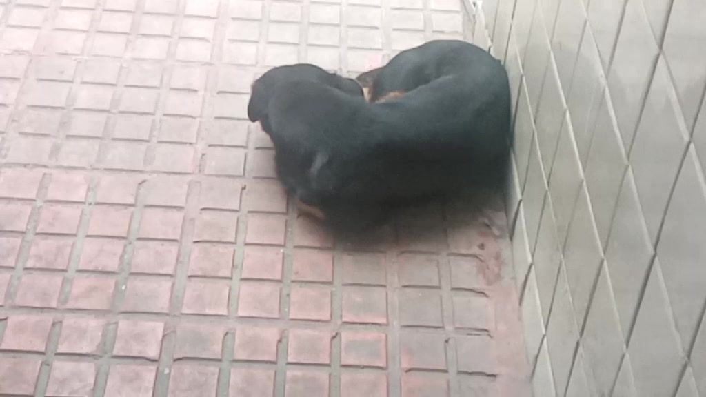 @Daniel Juárez