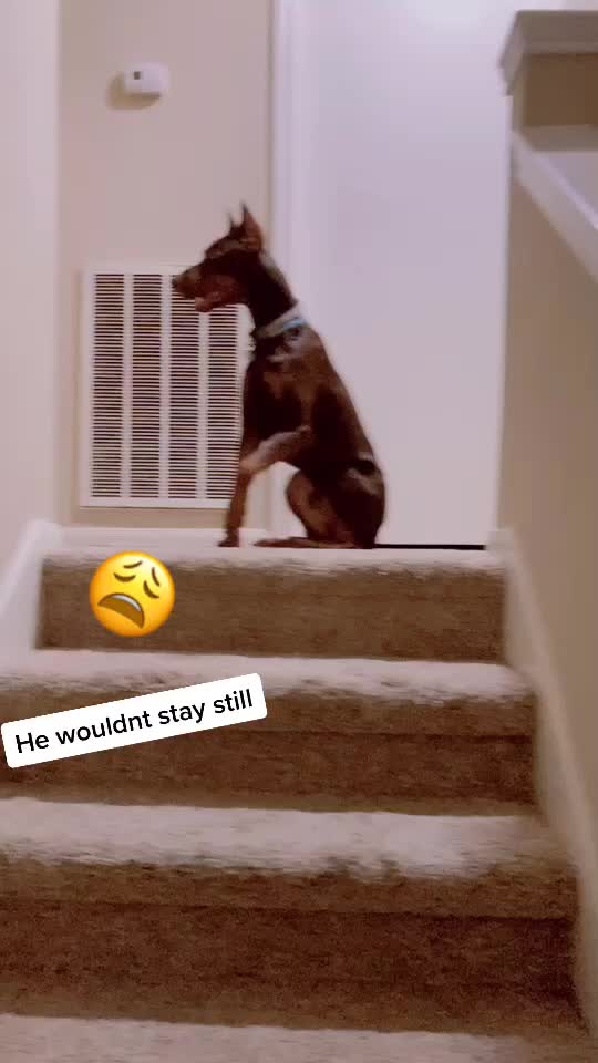 @Max