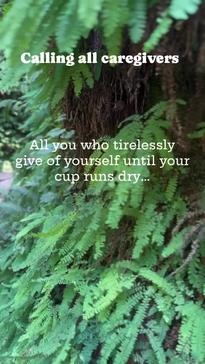 @_intothewyld