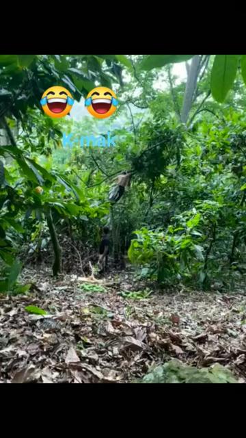 @nimba nationale🇬🇳