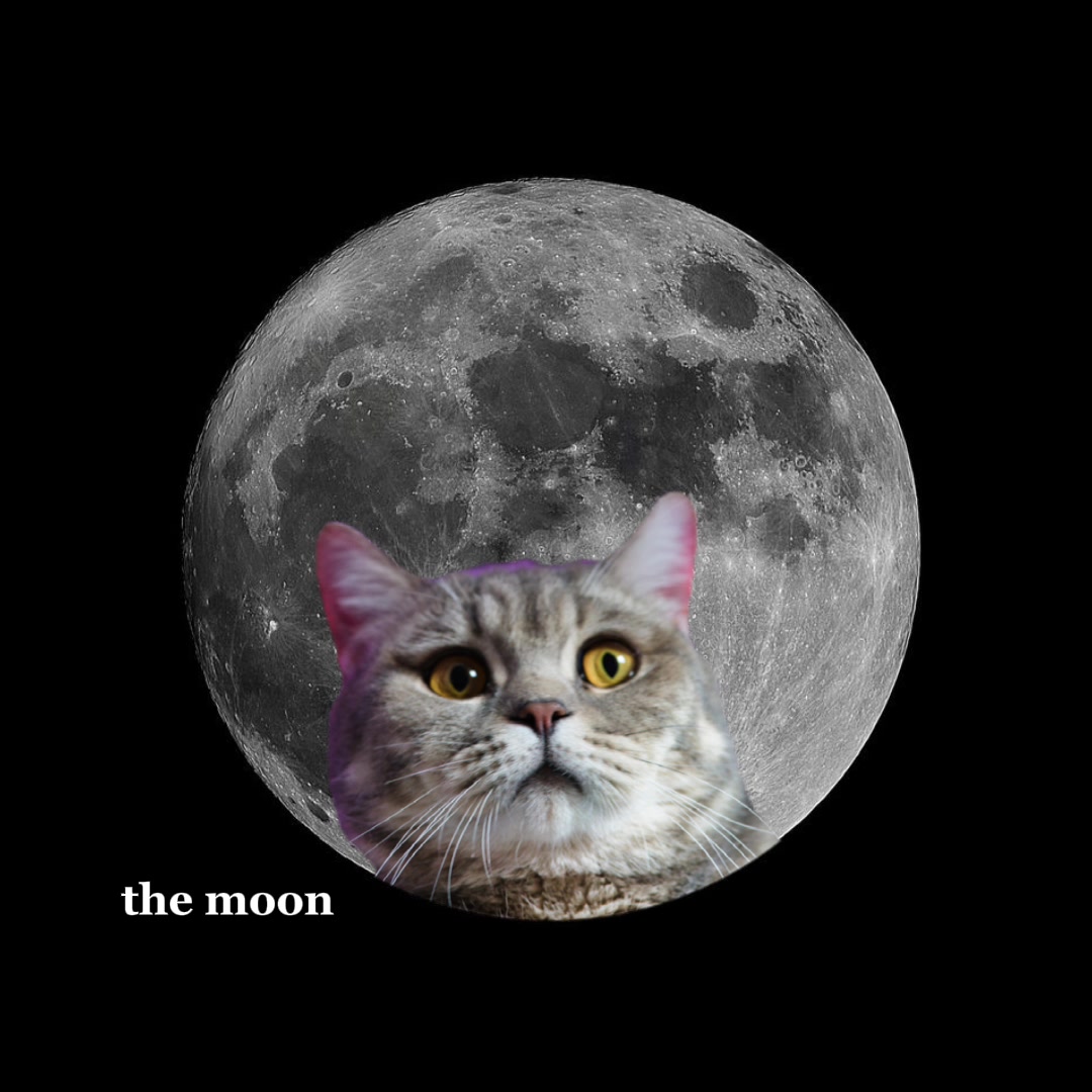 @Rio on the moon