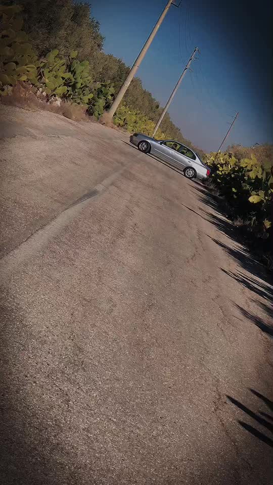 @صالح شوكت الحمايده⚜️❤️🩹