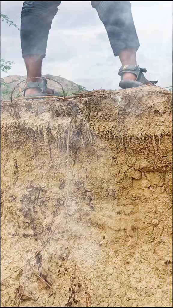 @తెలుగు అబ్బాయ్స్